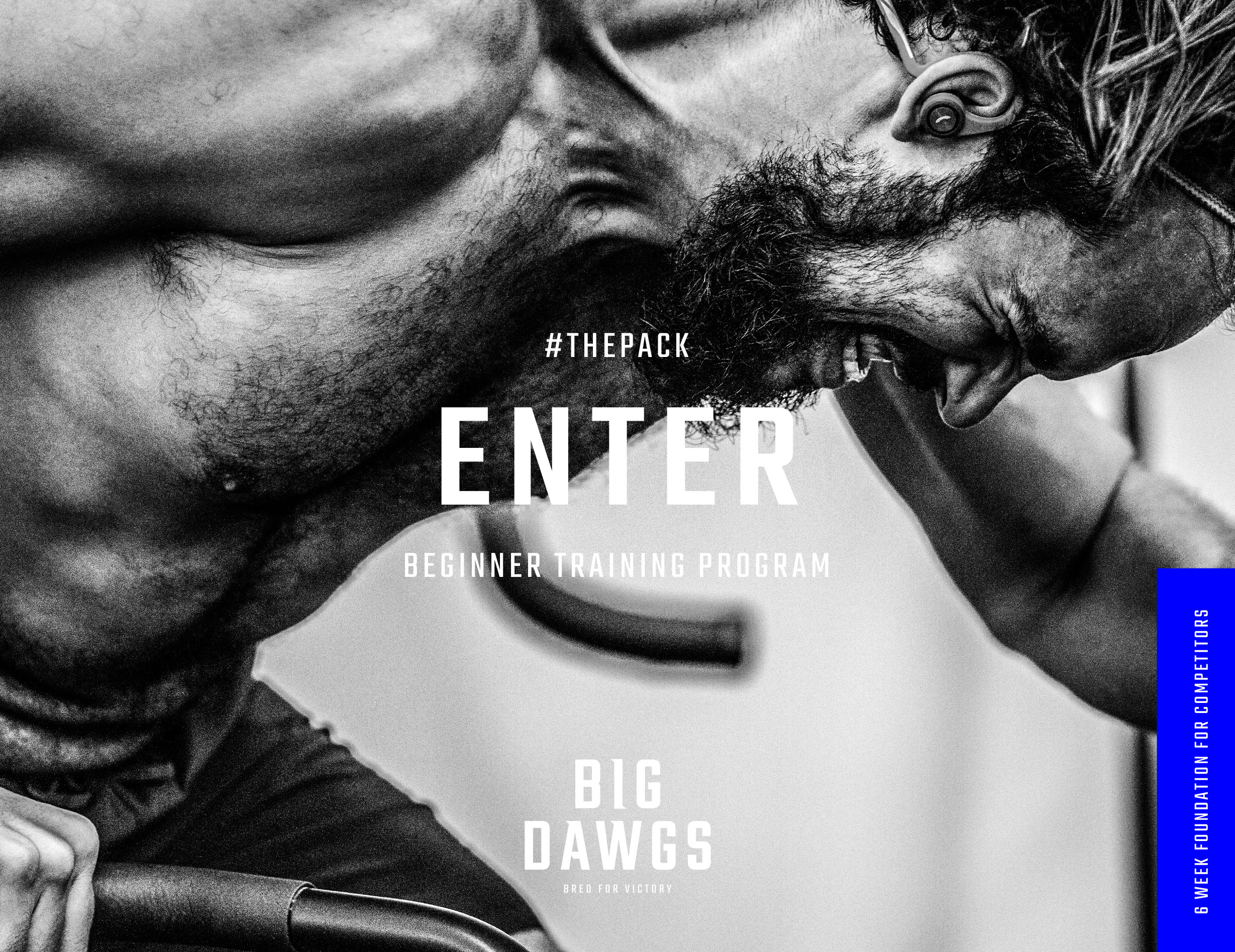 MC_Big-Dawgs_Branding_07