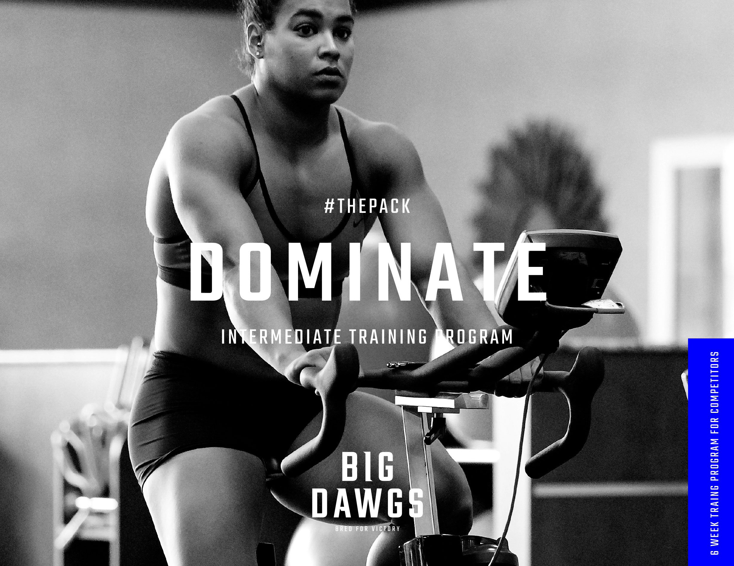 MC_Big-Dawgs_Branding_08