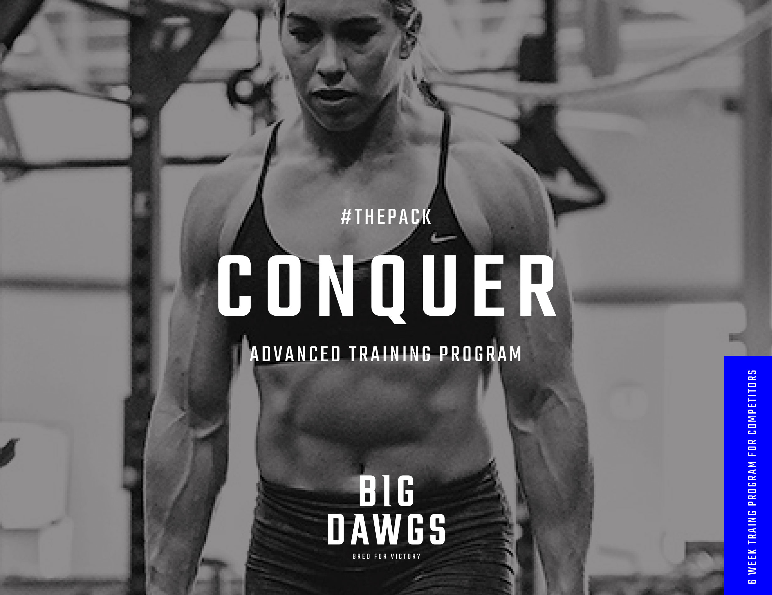 MC_Big-Dawgs_Branding_09