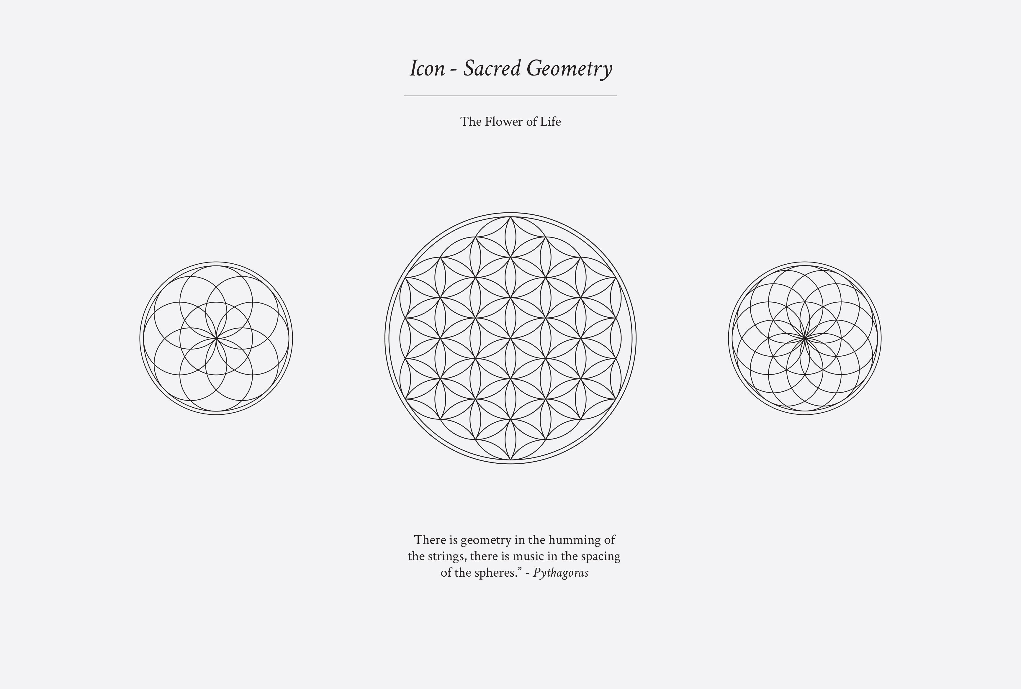 MC_Yogavibe_06-compressor